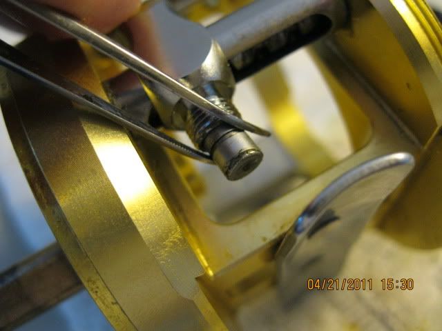 Daiwa Luna 203 (& 253)